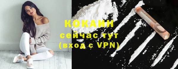 молекула духа Арсеньев