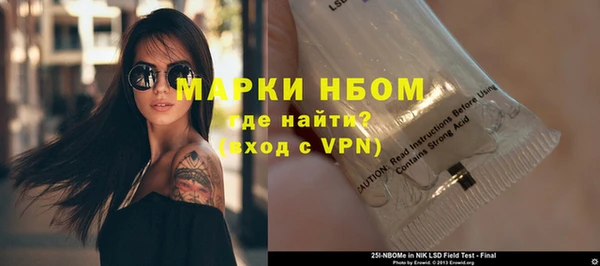 молекула духа Арсеньев