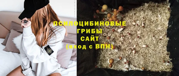 молекула духа Арсеньев