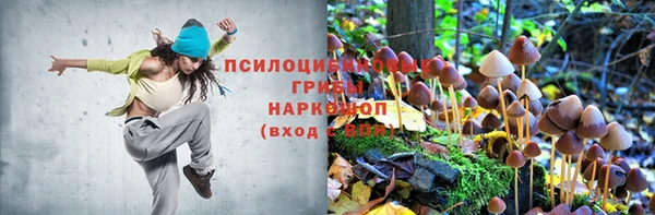 молекула духа Арсеньев