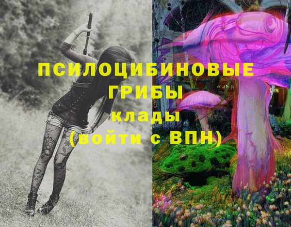 мескалин Гусиноозёрск
