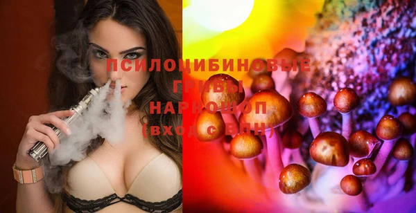 молекула духа Арсеньев