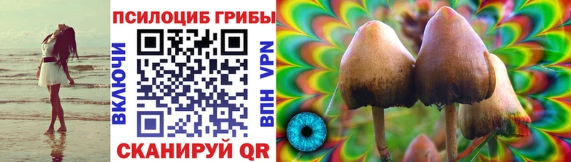 Псилоцибиновые грибы мицелий  Кологрив 